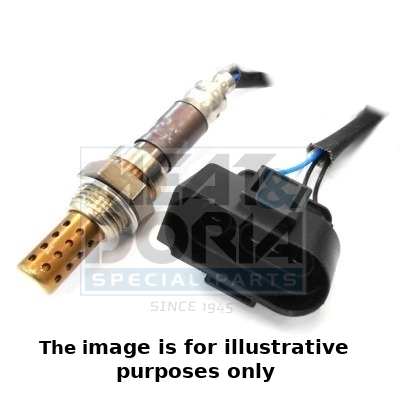 Oxygen Sensor